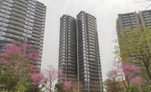鸿荣源熙园山苑